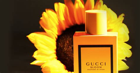 gucci bloom yellow notes|Gucci Bloom costco.